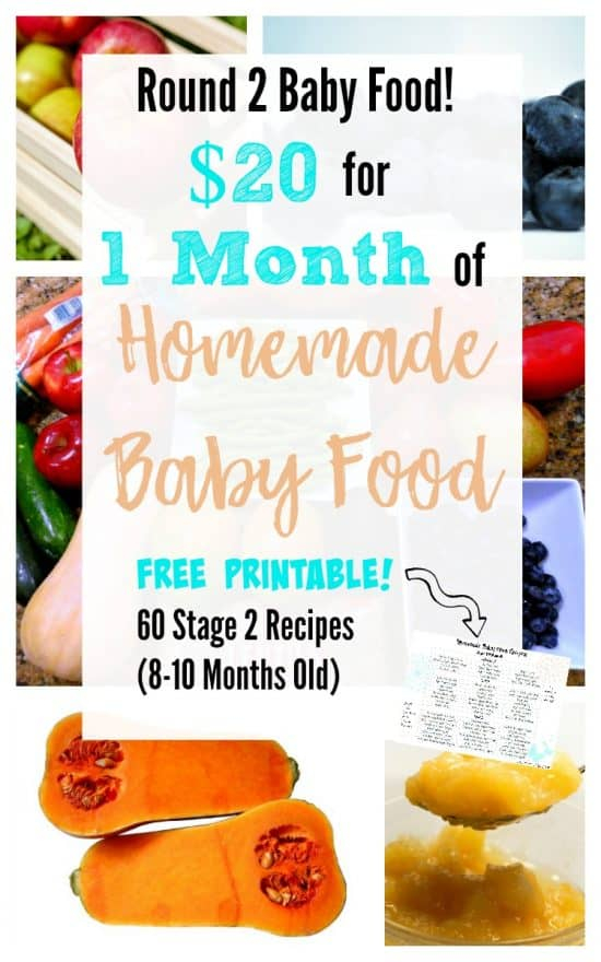  20 For 1 Month Of Stage 2 Homemade Baby Food With Free Printable Of 