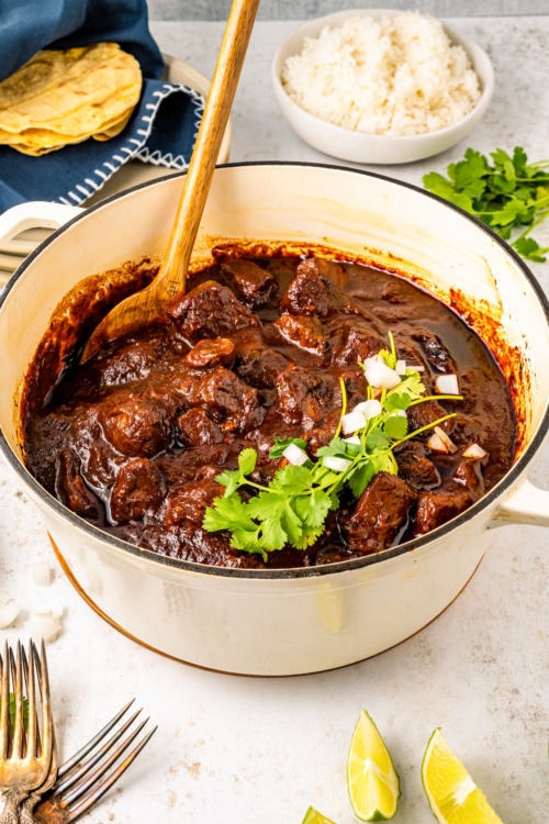 Carne Adovada Recipe The Novice Chef