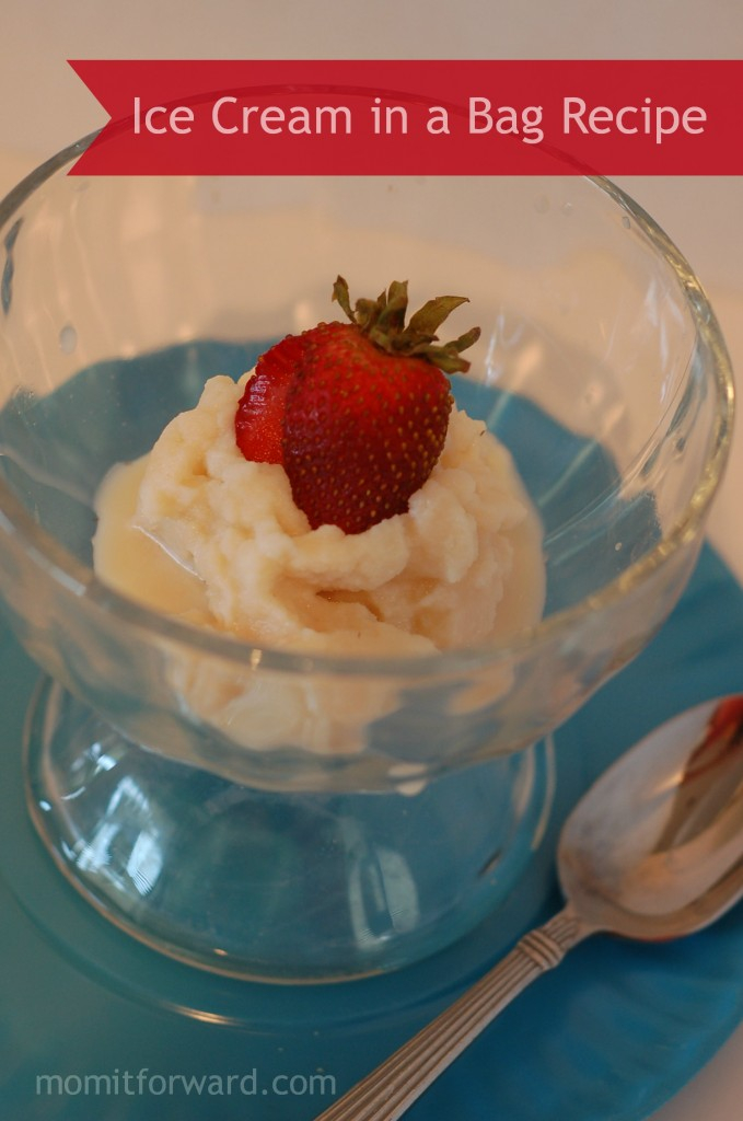 Recipe Ice Cream In A Bag Mom It ForwardMom It Forward