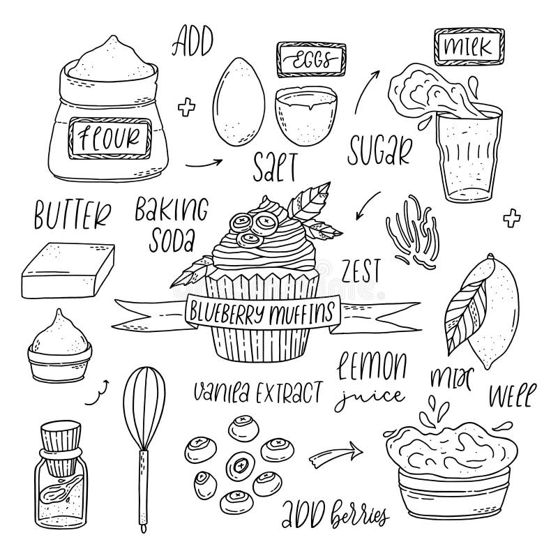 Step By Step Blueberry Muffin Recipe Stock Vector Illustration Of 
