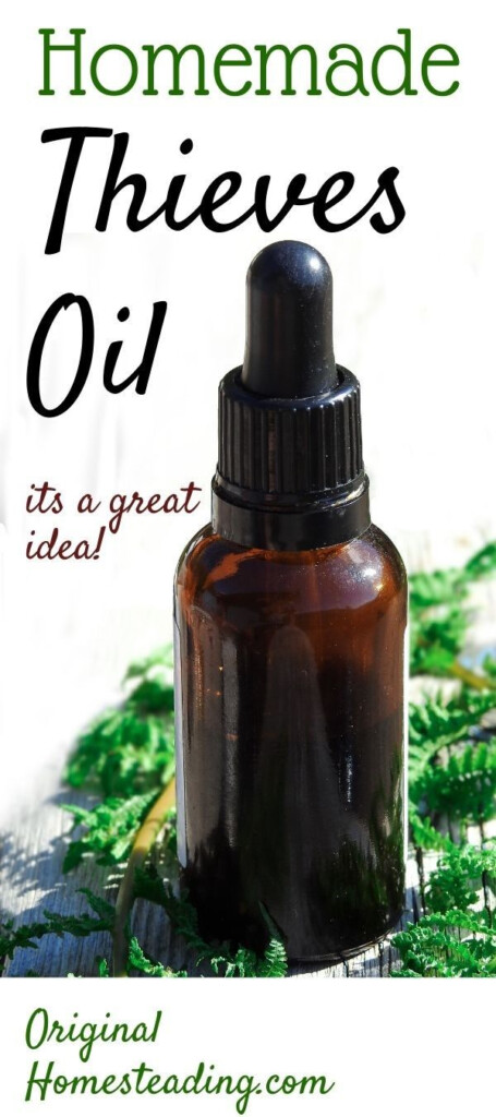 Thieves Oil Recipe Essential Oil Cleaning Blend Thieves Oil Recipe 