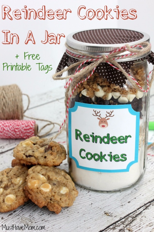 32 Mason Jar Cookie Recipes DIY Joy