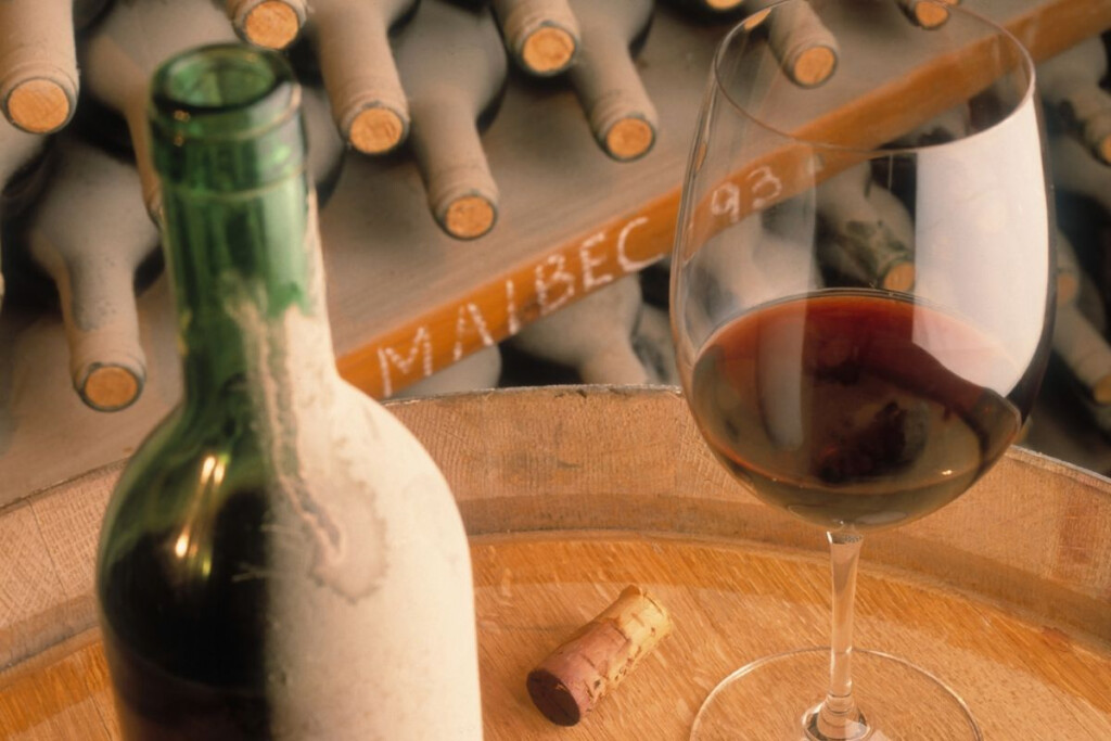 A Total Guide To Malbec Wine Pinot Days