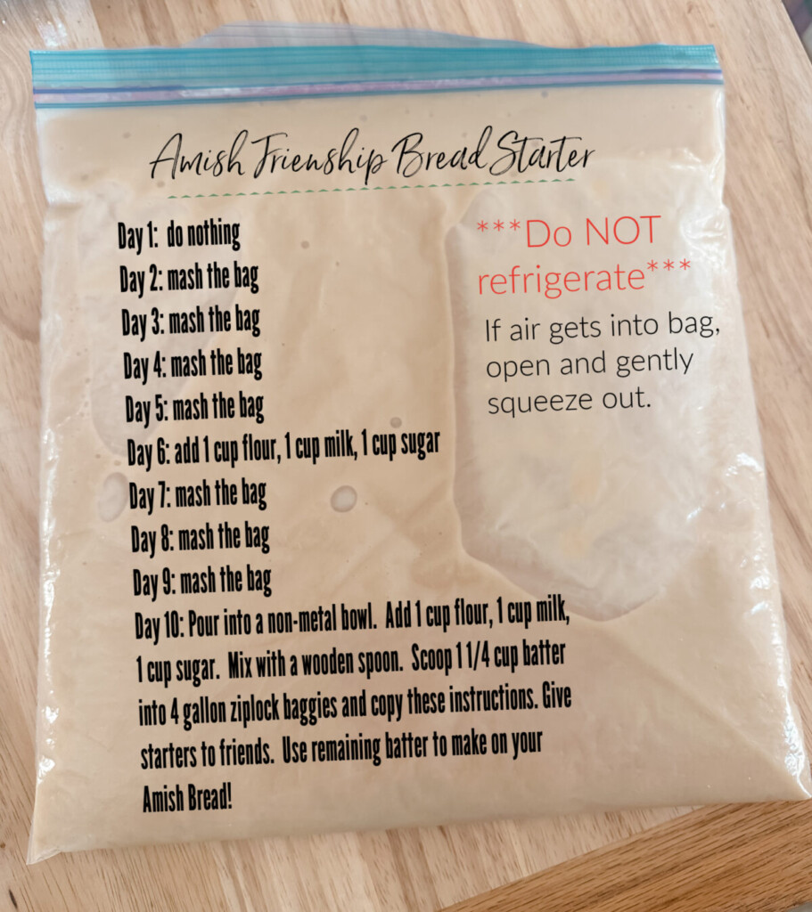 Amish Friendship Bread Recipe Thrifty Nifty Mommy