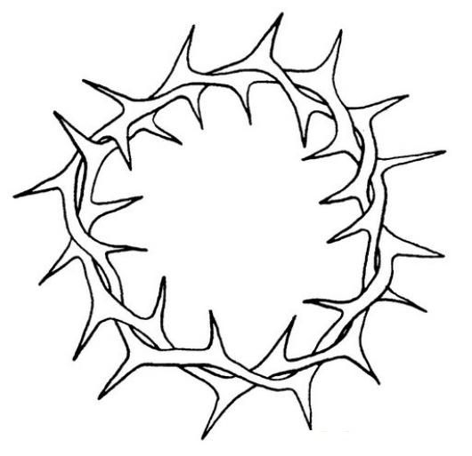 Free Printable Crown Of Thorns Coloring Page LexieecHardin