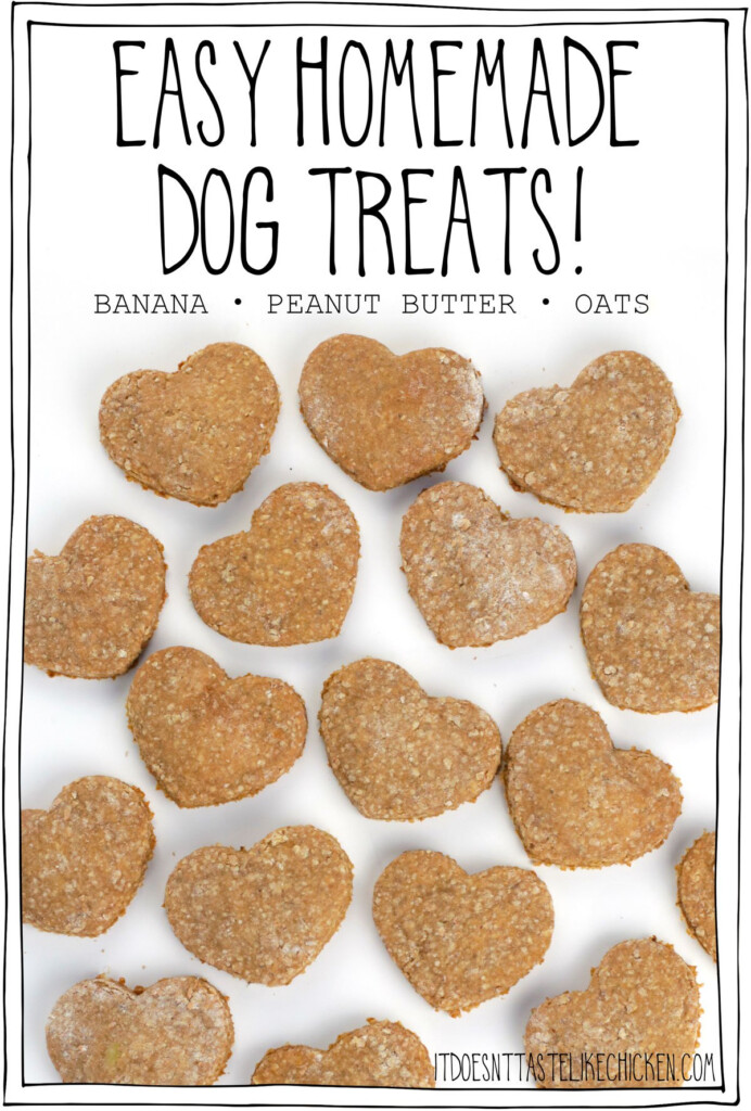 Homemade Dog Treat Recipes Easy Clearance Www danzhao cc