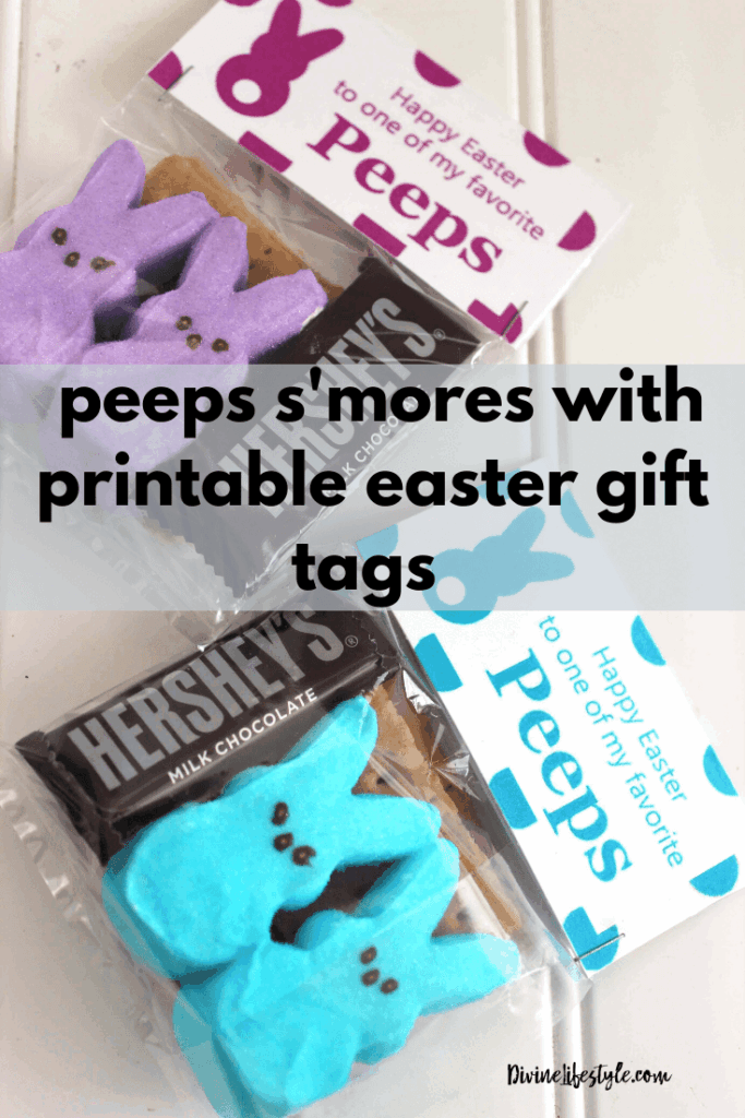 Marshmallow Peeps Smores Recipe With Easter Gift Tag Printables
