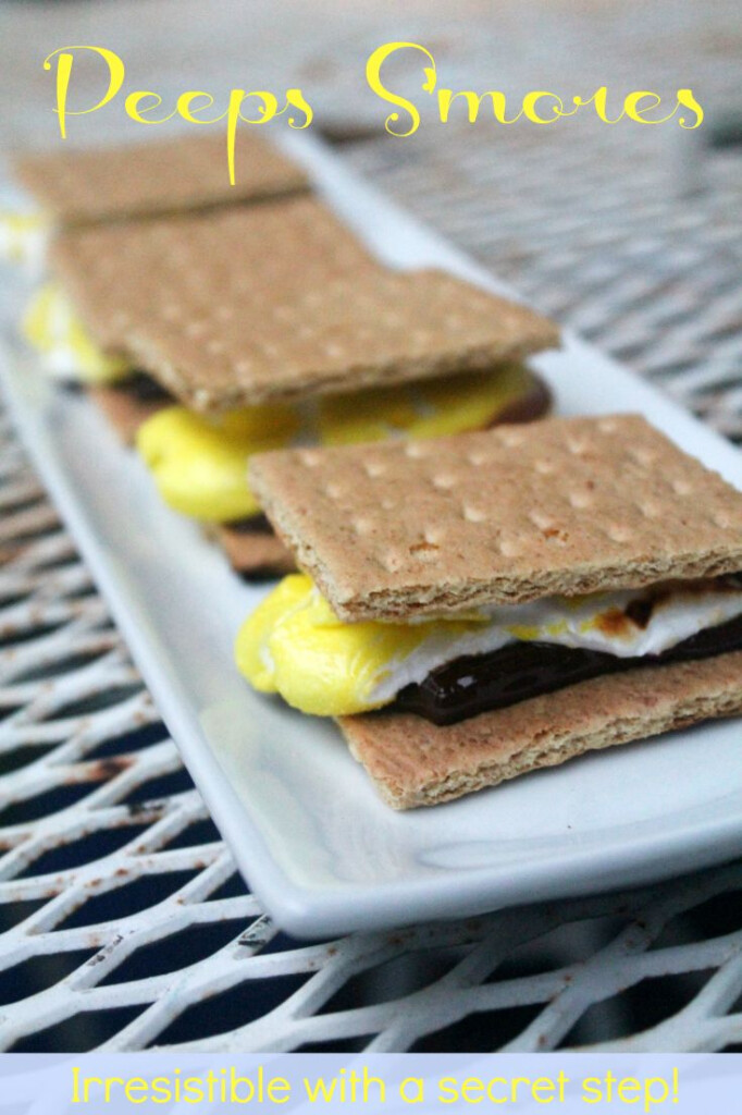 Peeps S 39 Mores Recipe Recipe Smore Recipes Peep Smores Recipe 