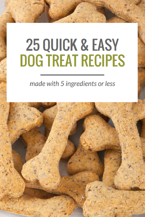 Quick Easy Homemade Dog Treats Recipes Besto Blog