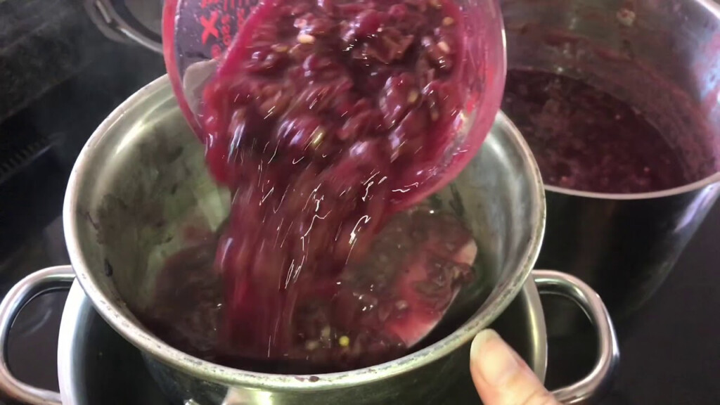 Sure Jell Grape Jelly Recipe A Culinary Delight The Chupitos 